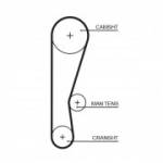 Hammasrihm GATES 5119