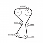 Hammasrihm GATES 5534XS
