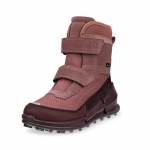 ECCO Talvesaapad Gore-Tex BIOM K2 711202-61043/31