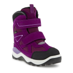 ECCO Talvesaapad Snow Mountain Gore-Tex 710262-60179/33