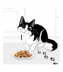 Felix Fanstastic Chicken, Tomato - Wet Cat Food - 85 g