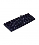 Esperanza EK129 keyboard USB QWERTY UK English Black