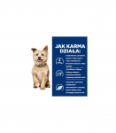 Hill's PD K/D Kidney Care Original - dry dog food - 4kg