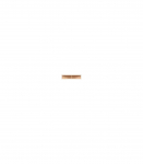 Seinariiul NAMEK POL/2/10