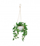 Kunsttaim GREENLAND potis, rippuv, Kuld-