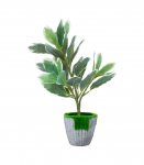 Kunsttaim GREENLAND H27cm, valge servaga leht