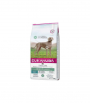 Eukanuba Daily Care Sensitive Joints - dry dog food - 12 kg