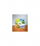 AROMA DIFFUSER ACC GEL DRY/SPRING COP000855 STYLIES