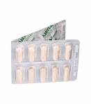 VETFOOD Amylactiv Balance - supplements for dogs and cats - 60pcs
