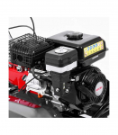 MULLAFREES HECHT 7970