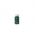 HOLISTA Chlorella - supplements for dogs and cats - 90 pcs