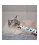VETEXPERT TrichoCat - anti-hairball paste for cats - 120 g