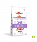 Expirace 5.6. 2026: Calibra Dog Life Junior Small & Medium Breed Lamb 12 kg