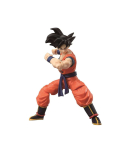 DRAGON BALL SUPER EVOLVE - SON GOKU