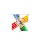 Avtek Wall Standard 200 projection screen 1:1