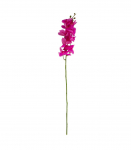 Orhidee FLOWERLY H94cm, lilla