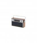 Camry Bluetooth Radio CR 1183 16 W AUX in Wooden