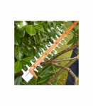 BLACK & DECKER BEHTS301-QS Hedge Trimmer