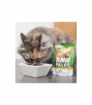 RAW PALEO Adult Cat Turkey - wet cat food - 100 g