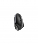 Cherry Mouse MW 4500 (JW-4500) (JW4500)