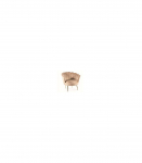 Tugitool CAMELLIA 1 beež velvet Bluvel 28/kuldne