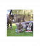 RAW PALEO Adult Cat Sterilised Beef - wet cat food - 100 g