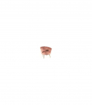 Tugitool CAMELLIA 1 roosa velvet Bluvel 52/kuldne