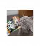 RAW PALEO Adult Cat Sterilised Turkey - wet cat food - 100 g