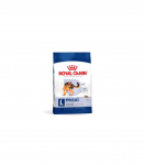 ROYAL CANIN Maxi Adult L - dry dog food - 4kg