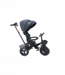 PRO550 Tricycle Bike Black