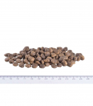Brit Care Mini GF &mdash; teraviljavaba t&auml;iskasvanud koertele, lambaliha, 400 g