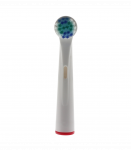 Oral B hambaharjale sobivad varuharjad, 6 tk 3304000019