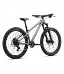 Laste jalgratas LIV STP 24, Alpine Green