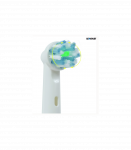 Oral-B Cross Action varuharjad 6 tk 3304000020