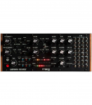 MOOG Labyrinth - Syntezator Analogowy