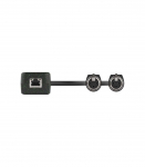 Turtle 2CH Analog XLR Input Dante Adapter - Adapter Dante