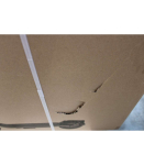 SALE OUT. Xiaomi Electric Scooter 6 Lite GL Xiaomi 24 month(s) DAMAGED PACKAGING