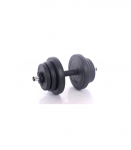 Dumbbell 10kg