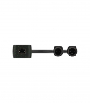 Turtle 2CH Analog XLR Output Dante Adapter - Adapter Dante
