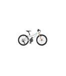 Author Cosmic 20 Extreme White/Medal Gold 2026