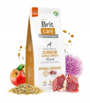 Expirace 18.6. 2026: Brit Care Dog Hypoallergenic Junior Large Breed Lamb 12 kg