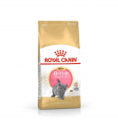 Royal Canin British Shorthair Kitten cats dry food 2 kg Poultry, Rice, Vegetable