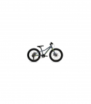 Batch Bicycles 20" MTB CHAMELEON
