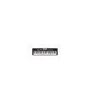 Casio LK-S250 digital piano 61 keys Black
