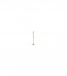 Riidenagi DENIS kuldne