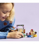 LEGO Friends S&otilde;pruse filmi&otilde;htu