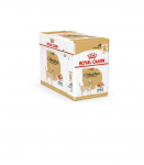 ROYAL CANIN Chihuahua - pack 12x85g
