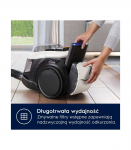 Bagless vacuum cleaner Pure C9 PC91-ALRG