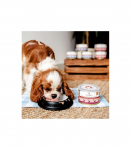 PERRO Junior Pork with carrot - wet dog food - 410g