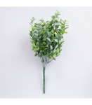 Piparm&uuml;ndi kimp IN GARDEN, H30cm